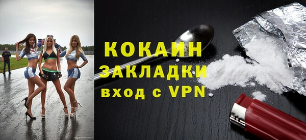 шишки Нягань