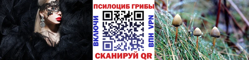 Псилоцибиновые грибы Magic Shrooms  Чистополь 