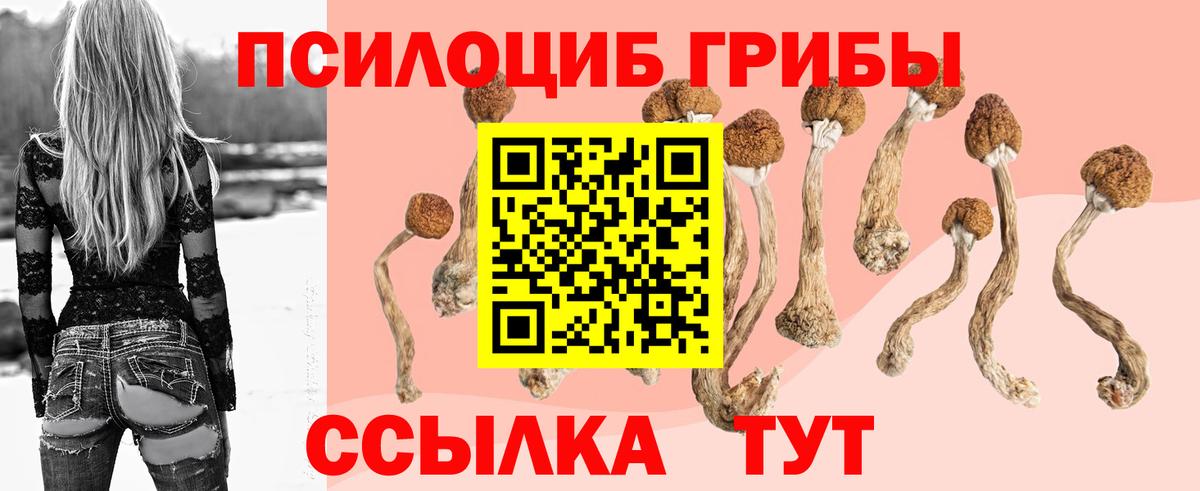 Псилоцибиновые грибы Magic Shrooms Чистополь