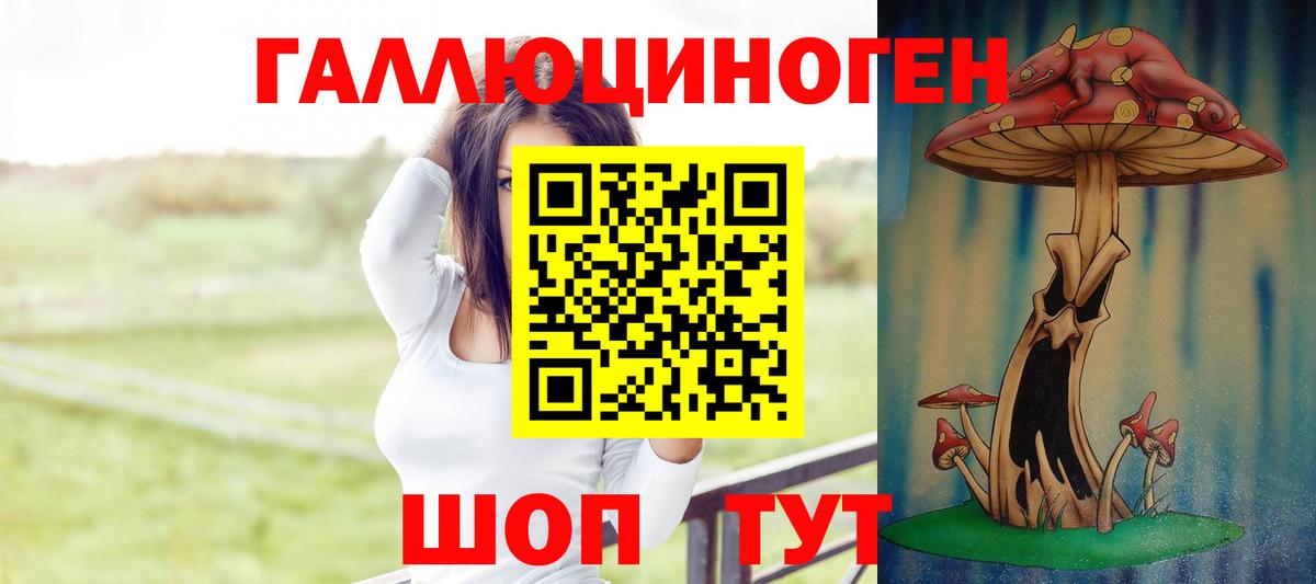 Псилоцибиновые грибы MAGIC MUSHROOMS  Вход с VPN  Чистополь 